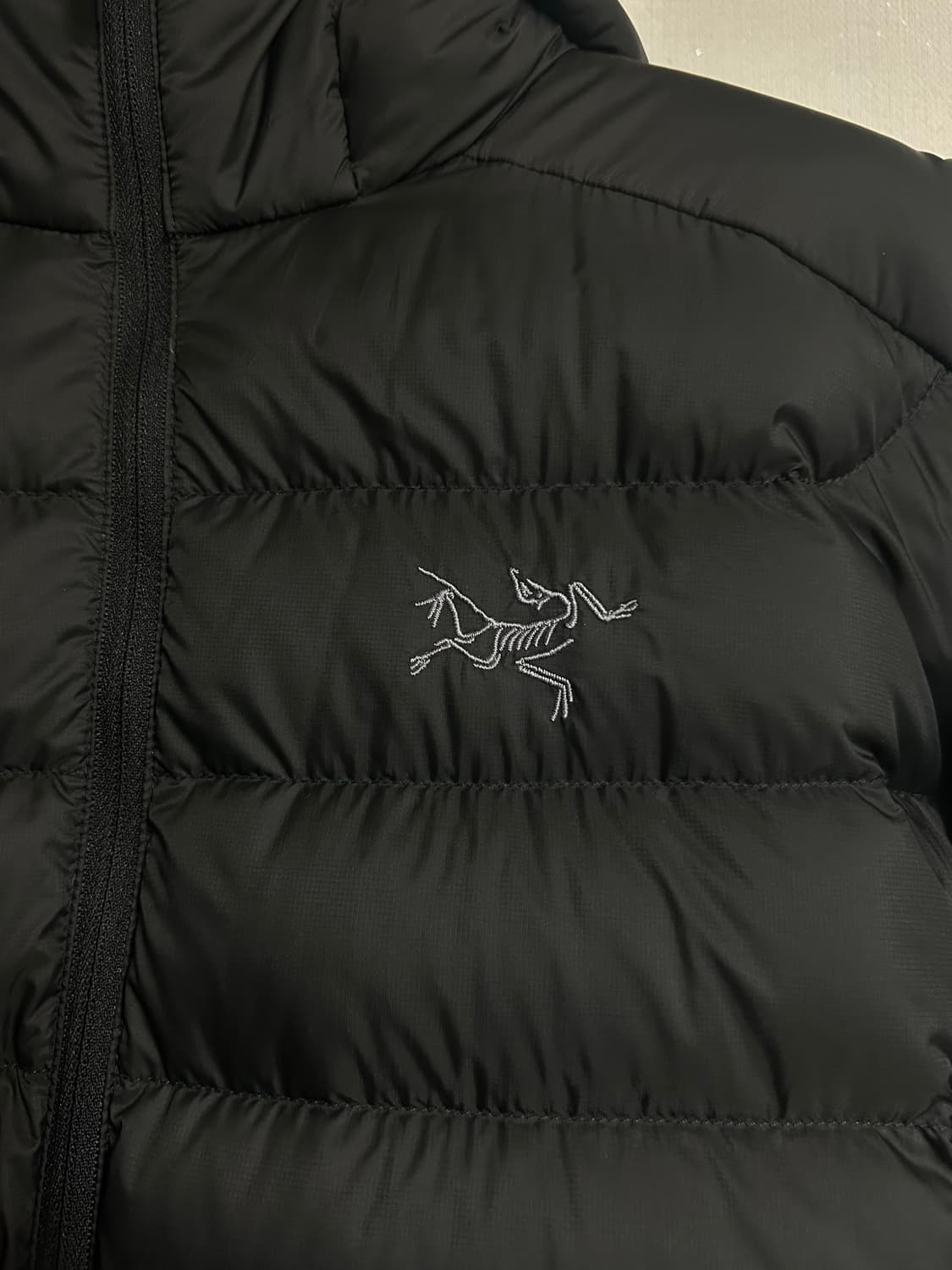 아크테릭스 패딩 L