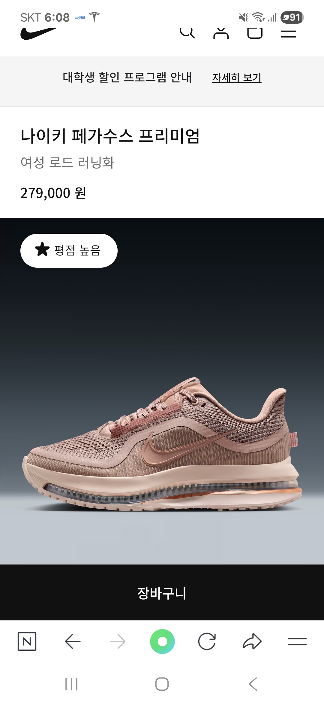 나이키 페가수스 프리미엄